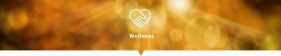 Thematics Wellness Fund