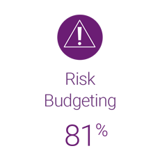 81% of institutional investors risk budget to manage risk.