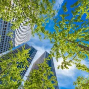How ESG Engagement Boosts Corporate Sustainability