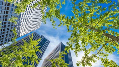 How ESG Engagement Boosts Corporate Sustainability